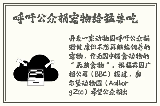 2021国产成人精品视频